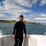 South Island - Kaikoura - swimming with dolphins