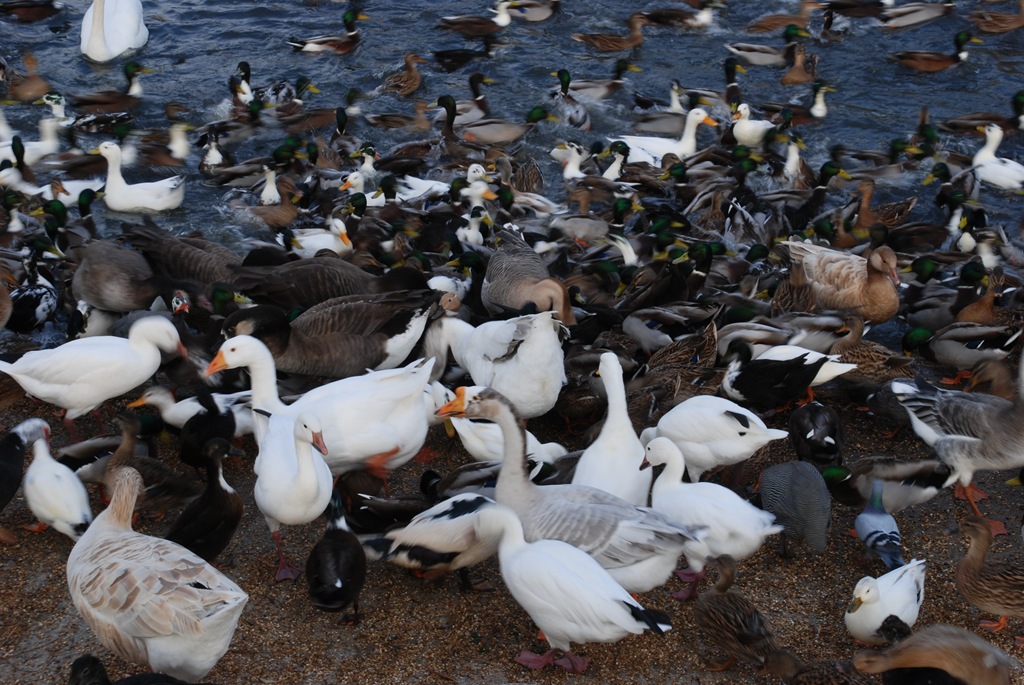 [DSC_7735%255B4%255D.jpg]