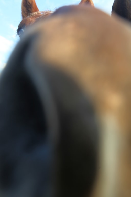 [IMG_0737%255B3%255D.jpg]