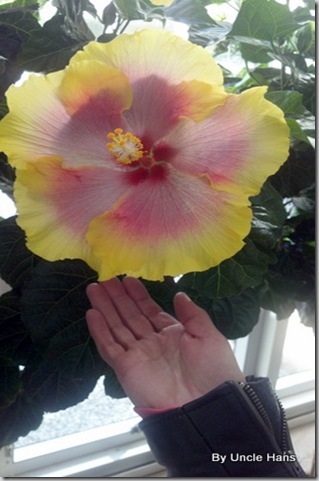 2012-03-04_11-06-19_271 2012-03-04_11-06-19_271