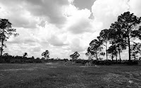 DSC01577.JPG Photo