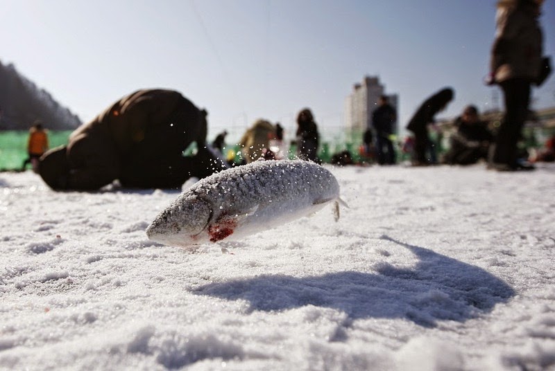 sancheoneo-ice-festival-2