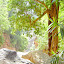 jazan2006-35.jpg