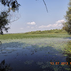 DSCN2913.JPG