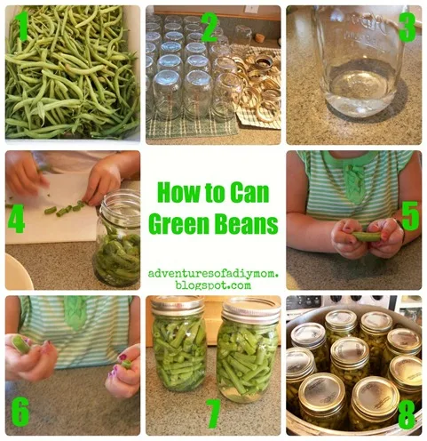 Green Bean Collage