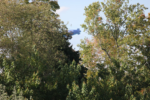 She also said that blimps can fly up to, and sometimes more then 5,000 feet!  What's the deal with this one?