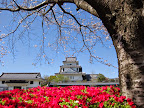 Miyazaki Slideshow