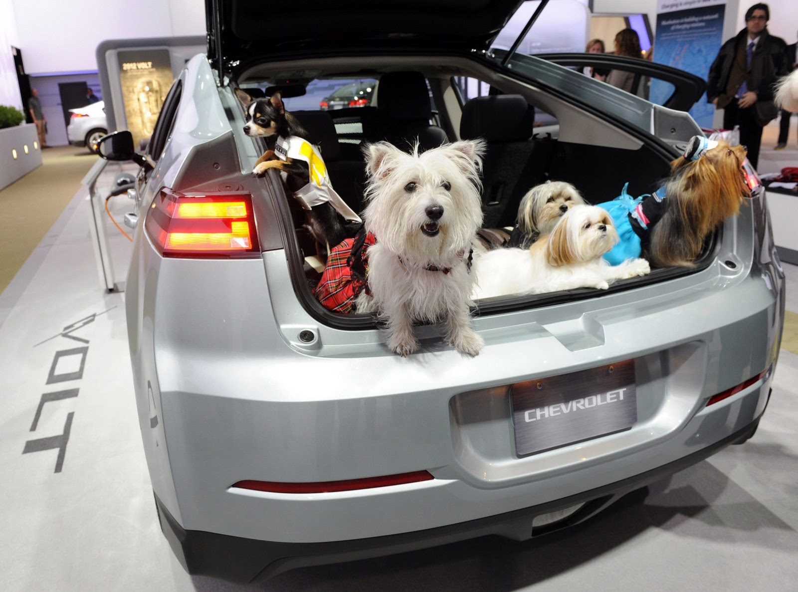 [GM-Volt%255B3%255D.jpg]