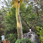 DSC_8176-2.jpg
