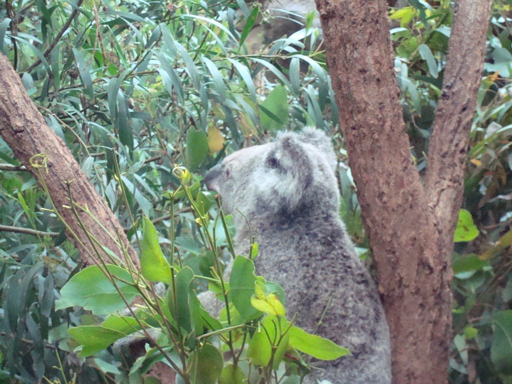 [Australia%2520045%255B8%255D.jpg]