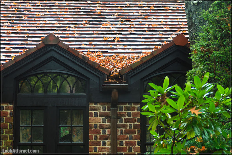 Америка 2.0 / Нью Йорк   Forest Hills (foto america  фото природа дождь и снег new york  20111019 usa ny forest hills 037 9118)