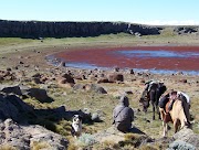 Voyage en Patagonie à cheval