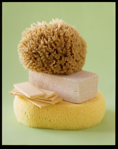 There are so many great sponges on the market.  I love the pop up kind because they're packaged flat so it's easy to store a lot of them.