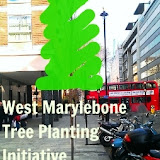 West Marylebone Tree Planting