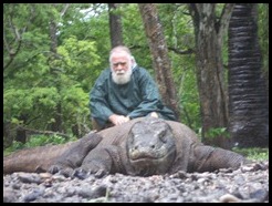 Indonesia, Komodo Island, 8 January 2013 (10)