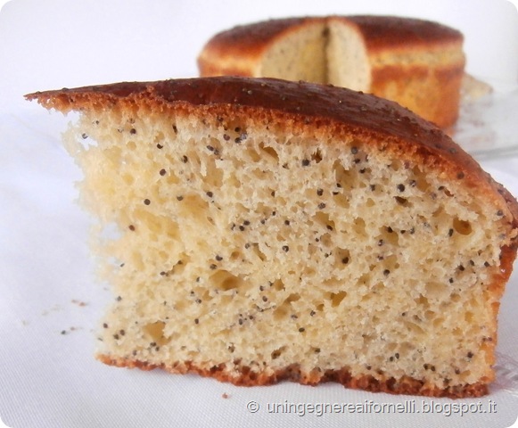 kalàcs semi papavero pane dolce brioches unghere ungheria panna acida kalàcs semi papavero pane dolce brioches unghere ungheria panna acida