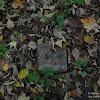 dsc03906.jpg