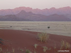 Enim Duene, Sossuvlei