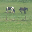 CIMG0844.JPG