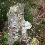 IMG_4970.JPG