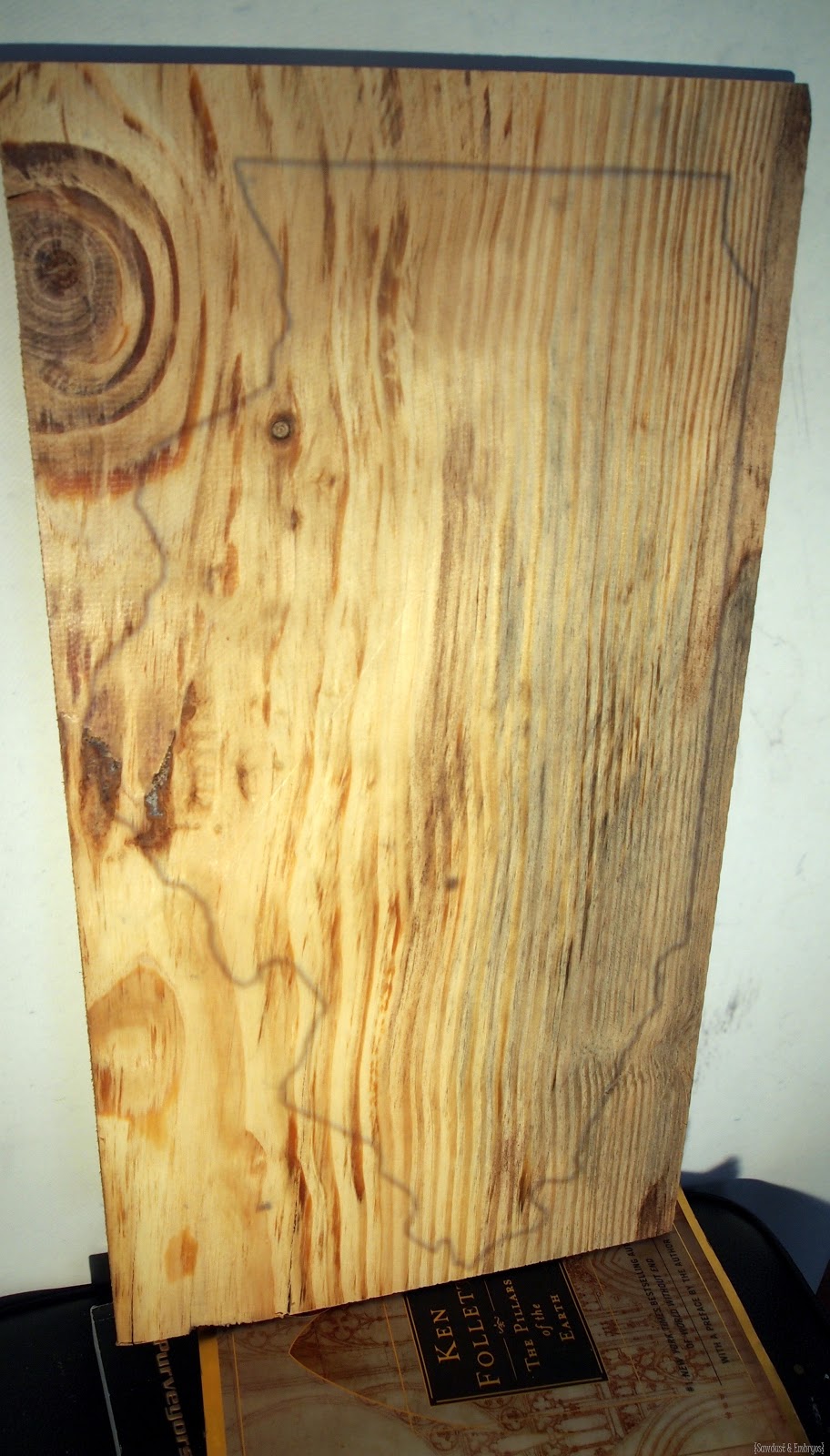 [DIY%2520State%2520Plaque%2520%257E%2520Trace%2520the%2520state%2520onto%2520the%2520wood%2520using%2520an%2520overhead%2520projector%2521%2520%257BSawdust%2520and%2520Embryos%257D%255B5%255D.jpg]