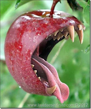evil apple