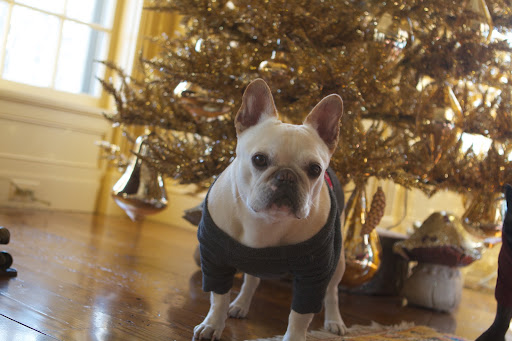 Francesca, the Summer House is also being decorated for Christmas.
