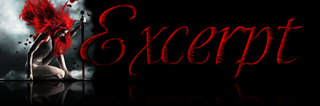 excerpt excerpt