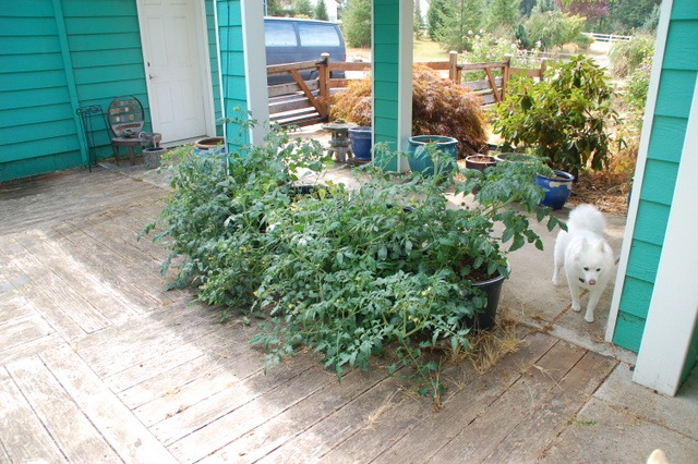 [DSC_6683%255B4%255D.jpg]