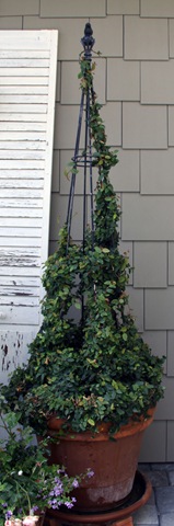 [topiary7%255B6%255D.jpg]