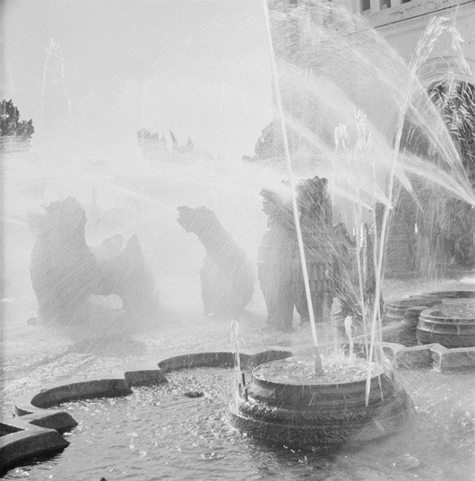 clip_image015 clip_image015