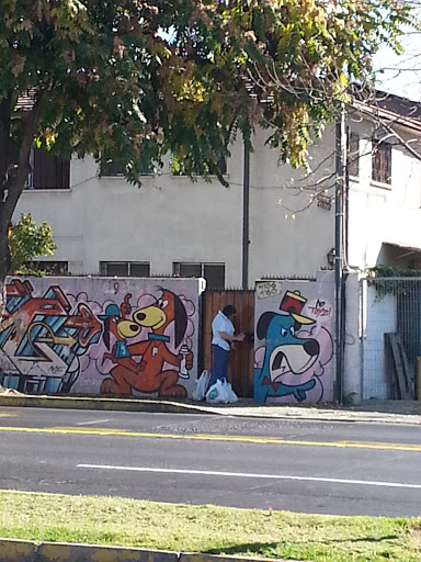 Perro Graffitero 