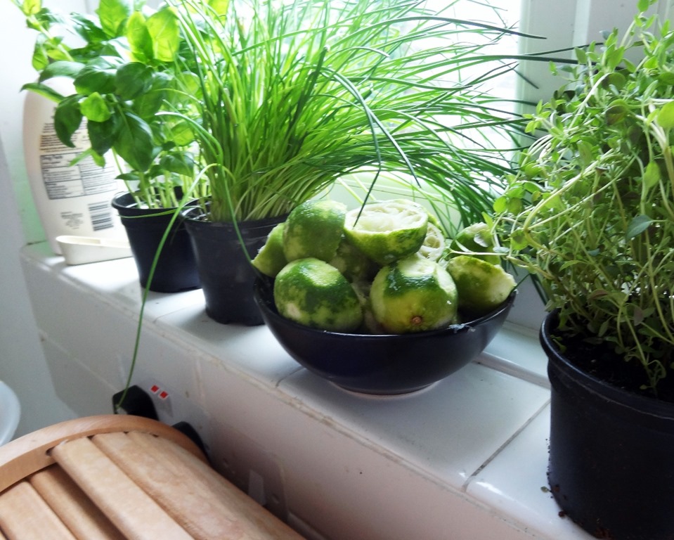 [DSC09327%255B12%255D.jpg]