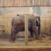 BP-20111111-zoo-036.jpg