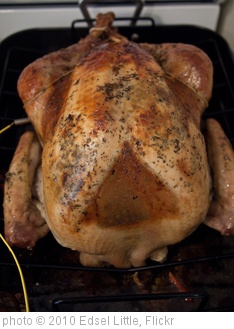 'Thanksgiving 2010-5' photo (c) 2010, Edsel Little - license: http://creativecommons.org/licenses/by-sa/2.0/