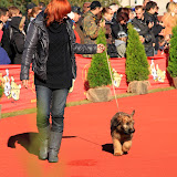 Abi - IMG_6645.JPG