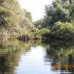 DSCN4450.JPG