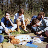 image_from_picasa