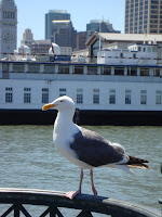 DSC05632.JPG