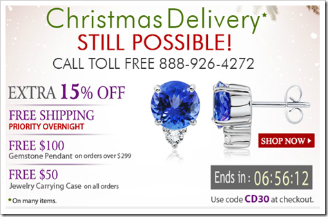 Christmas Delivery Is Still Possible!