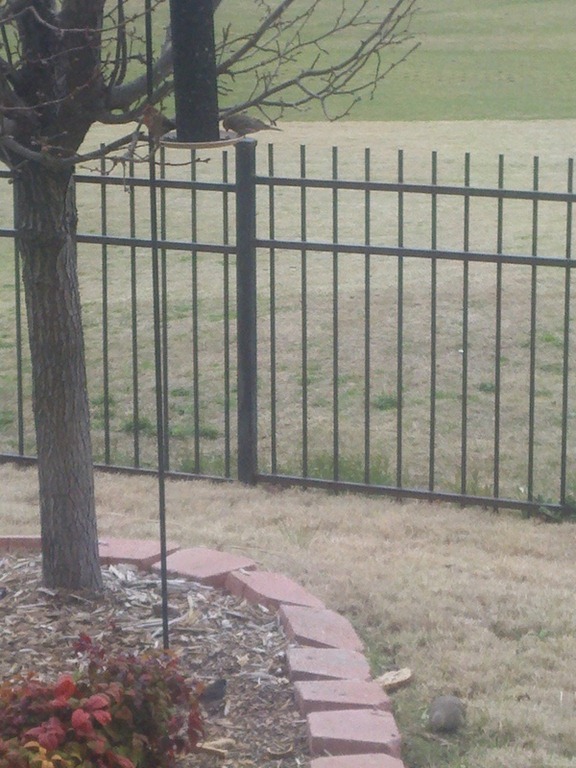 [2012-02-11_11-02-21_401%255B4%255D.jpg]
