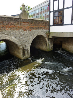 The Hogsmill