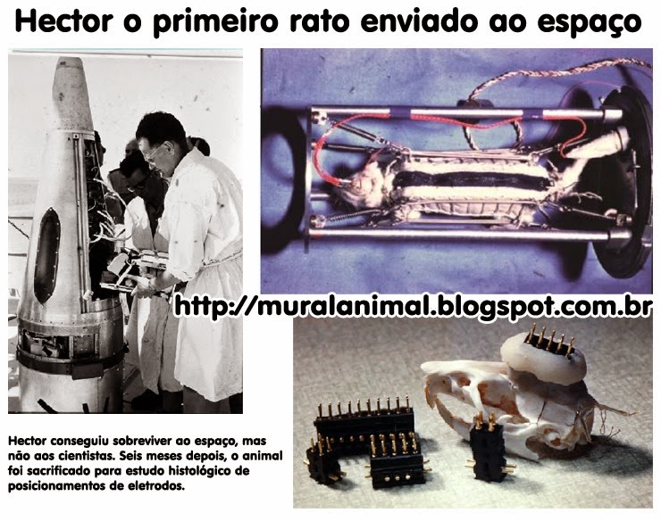[hector-rato-espaco3%255B3%255D.jpg]