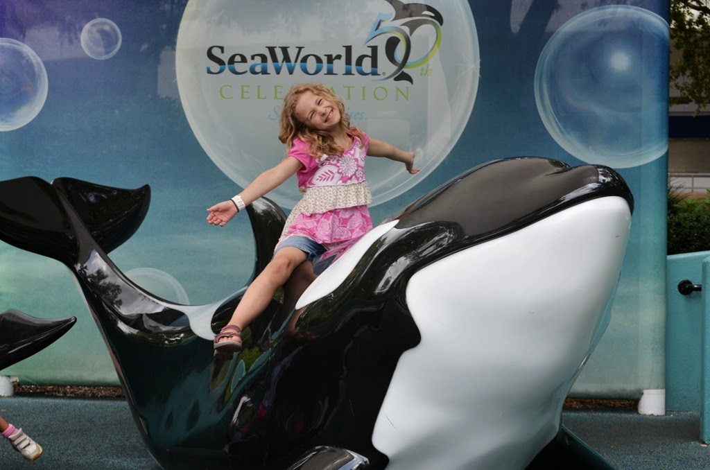 [DSC_8440%255B3%255D.jpg]