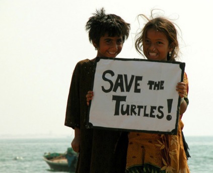 [safe%2520the%2520turtles%255B7%255D.jpg]