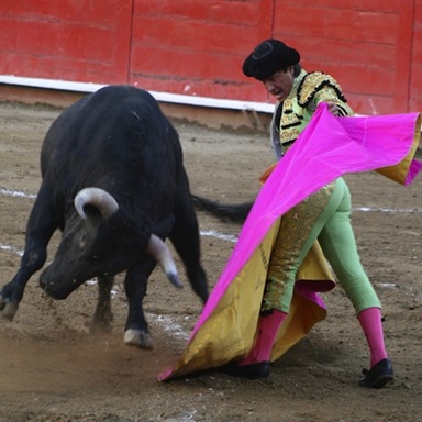 [candidman_toros%255B3%255D.jpg]