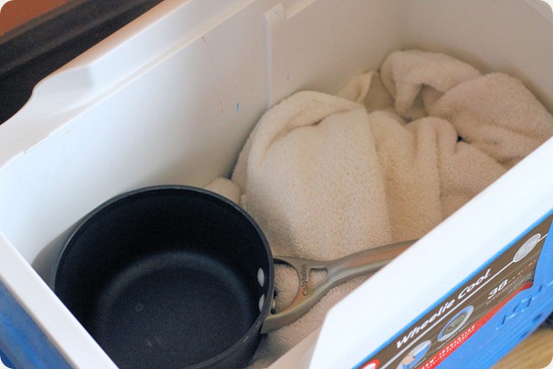 how_to_ferment_yogurt