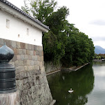 moat in shizuoka in Shizuoka, Japan 