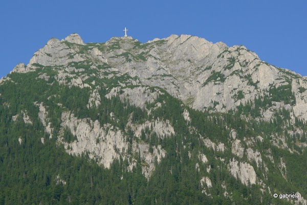 1.jpg 1.jpg