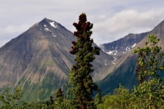 St Elias Mountains